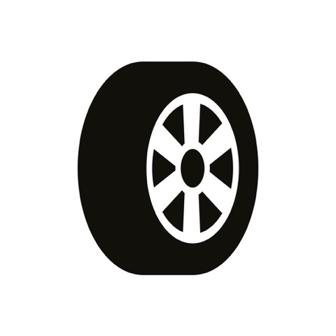 PNEU PN 295/35 R 21 107Y COOP ZEON 4XS SP XL