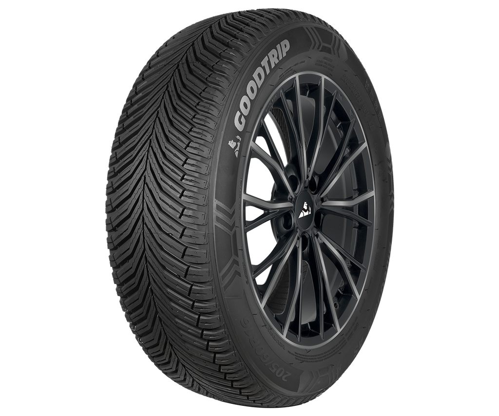 225/55R19 99W GOODTRI BLUEGUARD AS